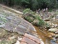 85067904583