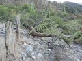 condorhuasi2
