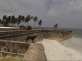 9074744