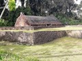 523645817529