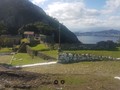 37598634656