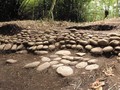 65868883-40982