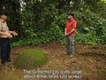 6348278382
