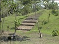 74705924781