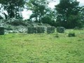 97907-235424