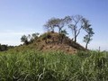 Tacuzcalco