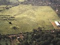 787497564