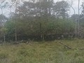 69367873844