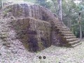 603499885