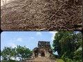 Palenque-071