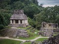 Palenque-067