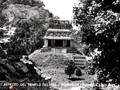 Palenque-040