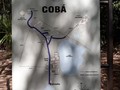 856700003810