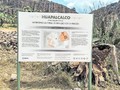 Huapalcalco-017