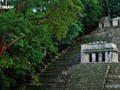 Bonampak-012