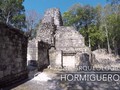 Hormiguero-04