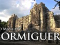 Hormiguero-07