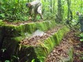 cantagallo-piramide-05
