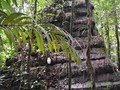 cantagallo-piramide-03