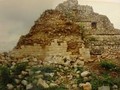 7298092342