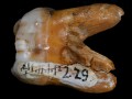 1912