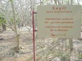 93767389743
