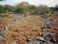 Chunchucmil-07