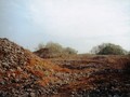 Chunchucmil-05