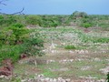 Chunchucmil-08