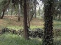 8976850984