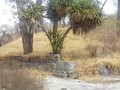 12020257