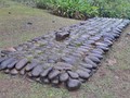 35943509000