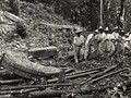 23534-0986