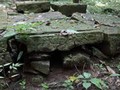 3403057626