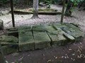 7860834800