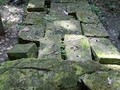 767495230002
