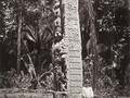 678456737