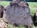 1029-1391974