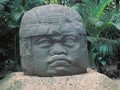 52350029592