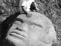Ancient stone head in Monte Alban