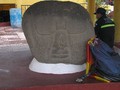 4430045954