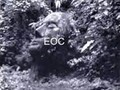 704000-10009