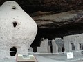 52028249572