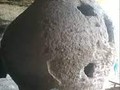 520540303