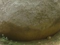 559025672