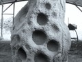 2102-2392