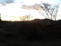 m?s tarde alineaci?n2