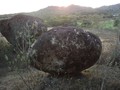 evoluc. solsticio