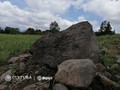 3463498754