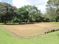 89-0498-42